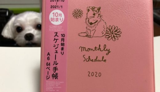 100円ショップダイソーの猫グッズ！スケジュール帳＆カレンダー！